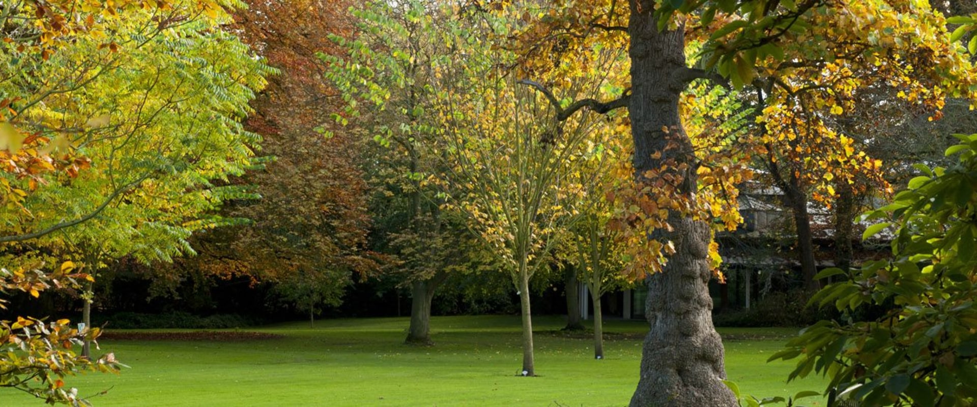 Mental Health Resources for Oxbridge Students